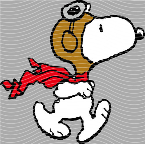 Snoopy- 669